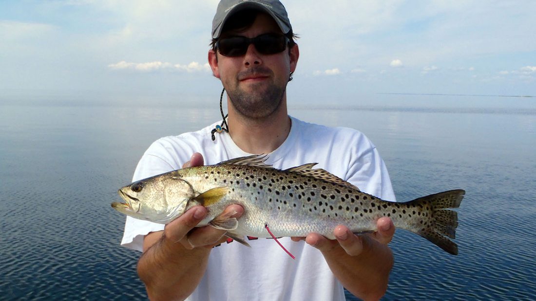 When Do Spotted Seatrout Succumb to Winterkill? Hook, Line and Science
