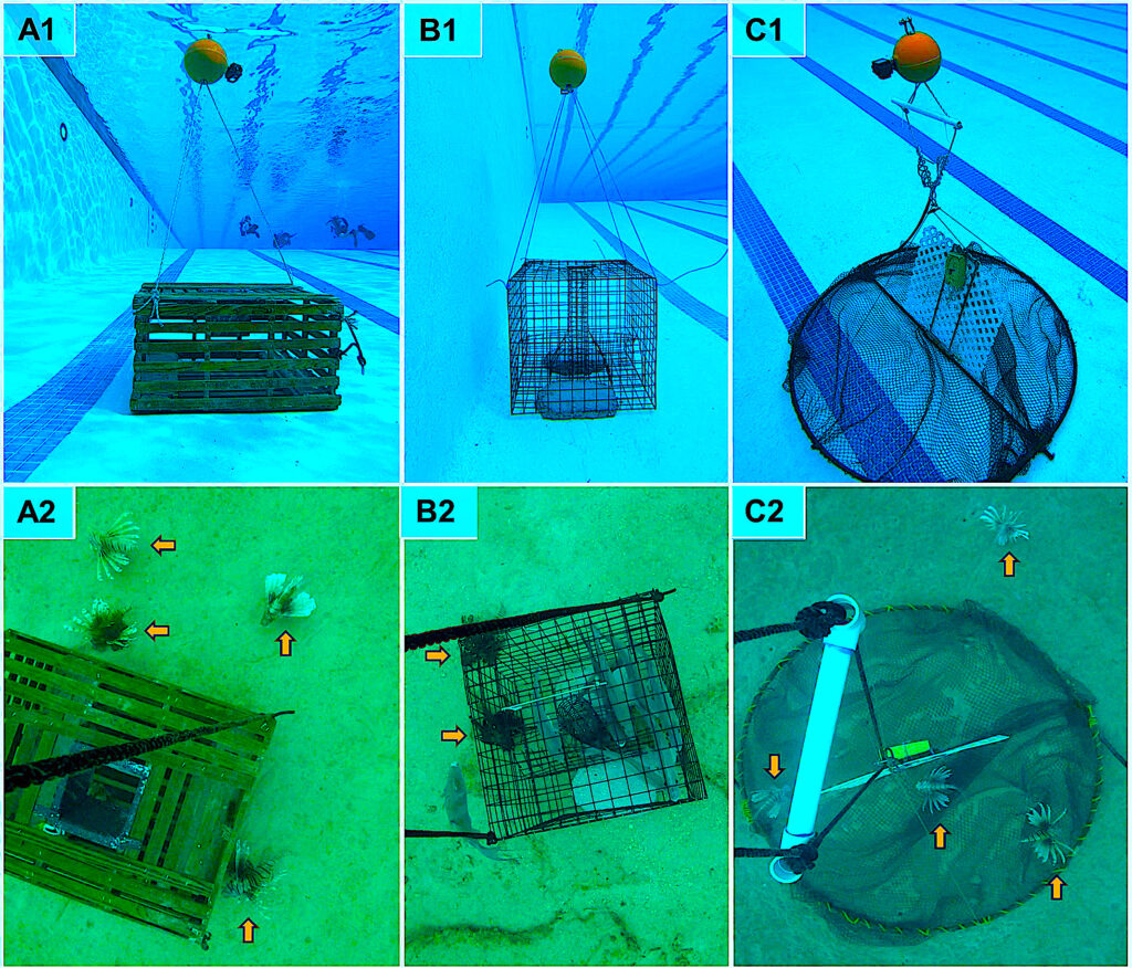 Can We Use Deepwater Traps to Catch Lionfish? Hook, Line and Science