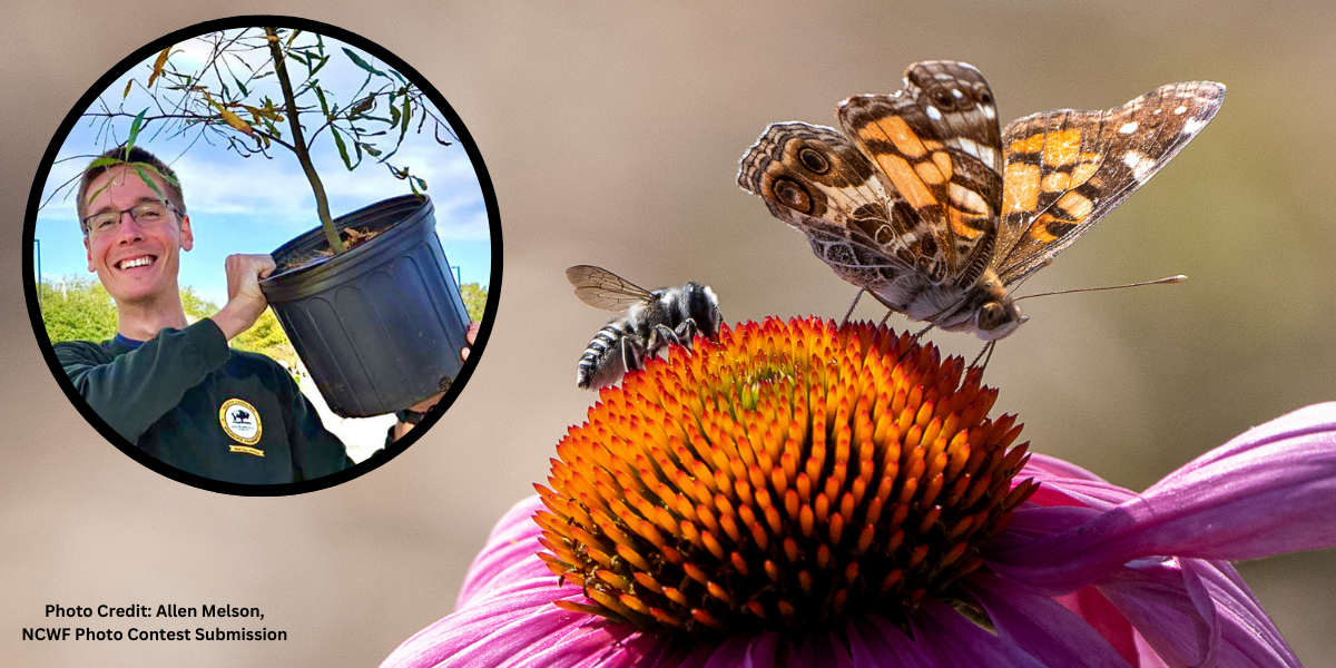 Over 3 Thousand Sites and Counting NC Pollinators, Communities, and