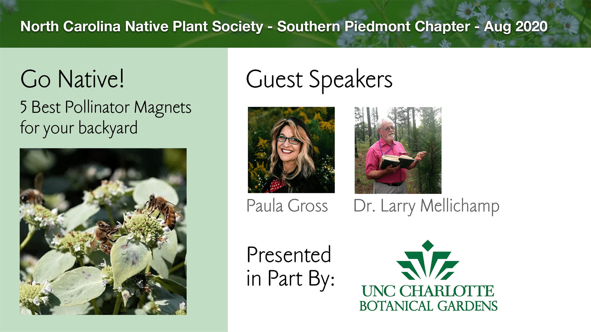 Planning Your Native Plant Garden North Carolina Native Plant Society