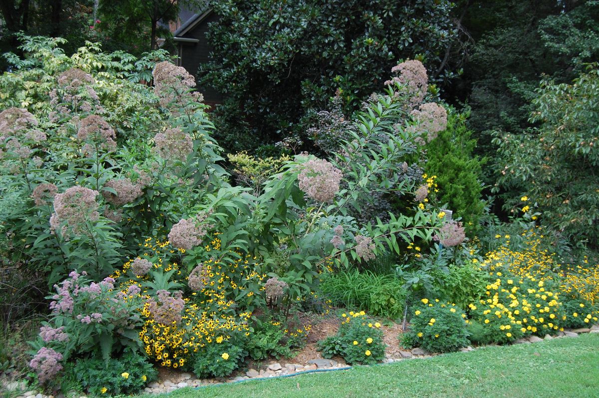 Native Plant and Rain Gardens Tour (Private Home) North Carolina