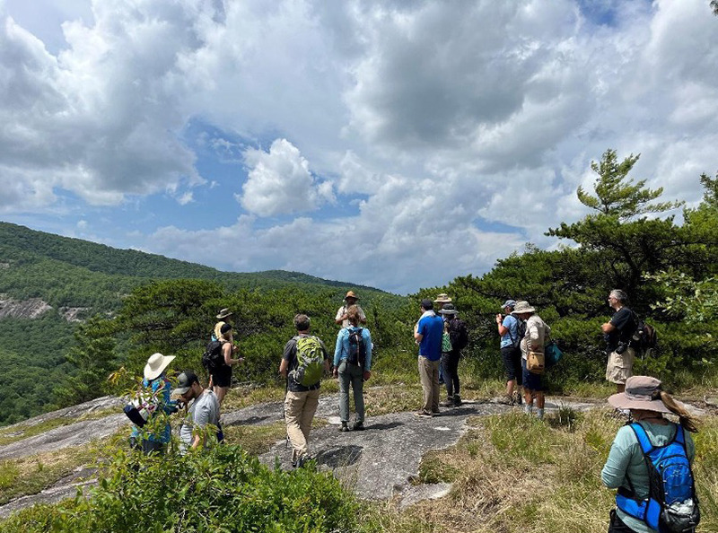 Thanks for sending me to Cullowhee! North Carolina Native Plant Society