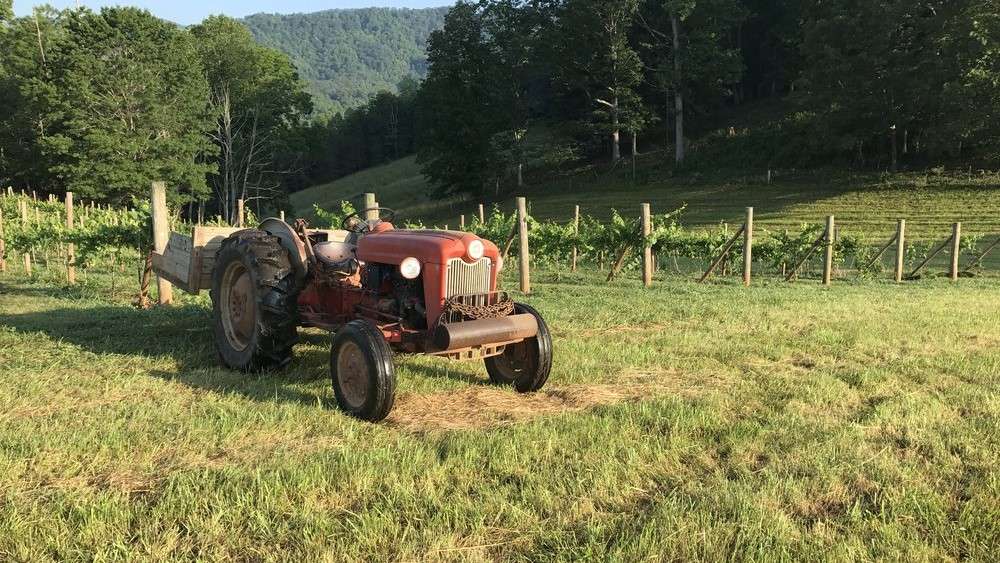 Addison Farms Vineyard NC Wine