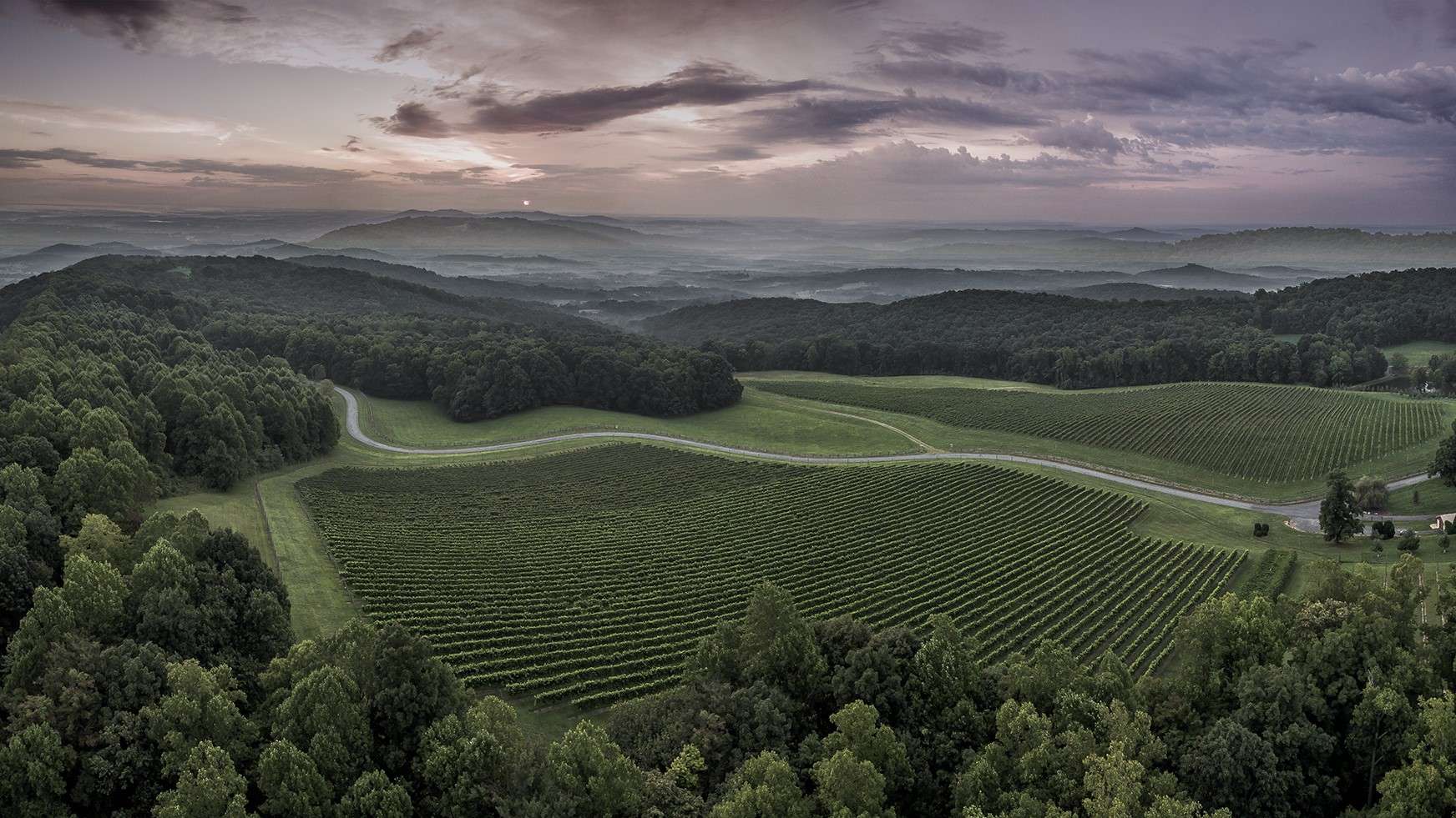 Dynamis Estate Wines NC Wine