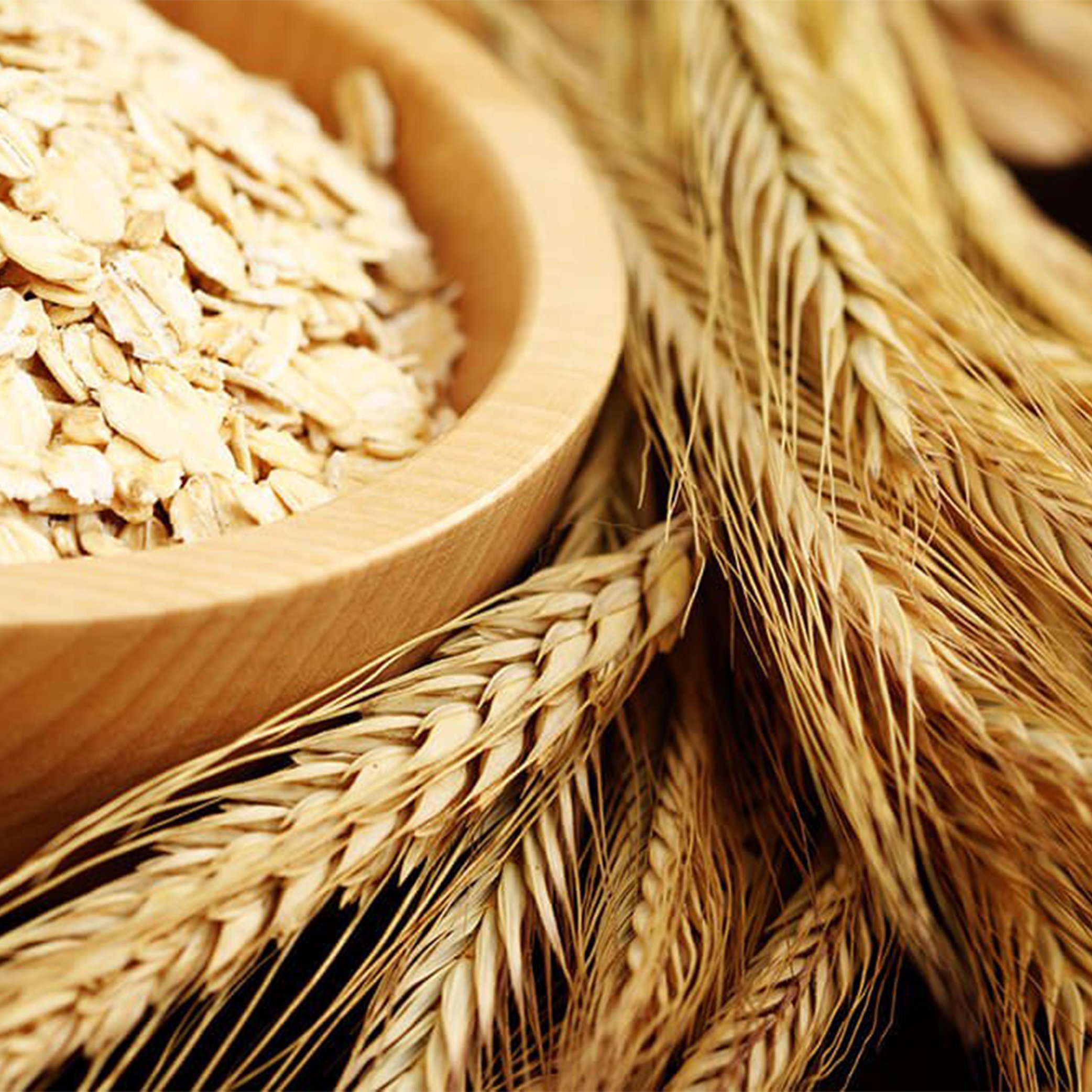 Abi Spring Meeting 2023