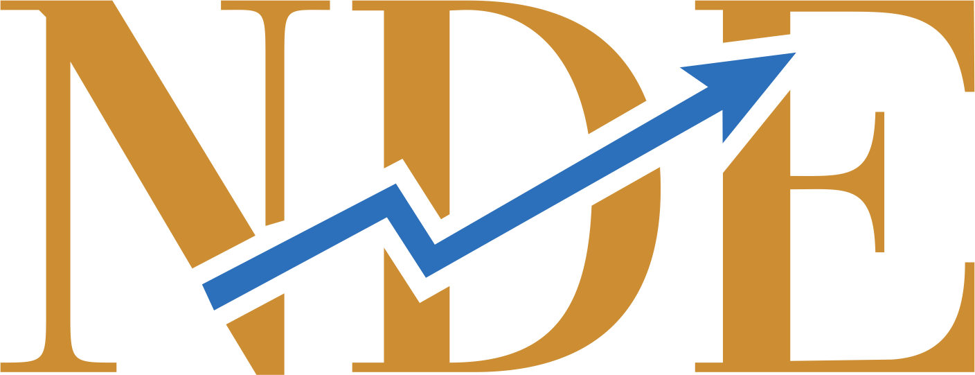 NDE Professional Accounting & Taxes Services Inc.