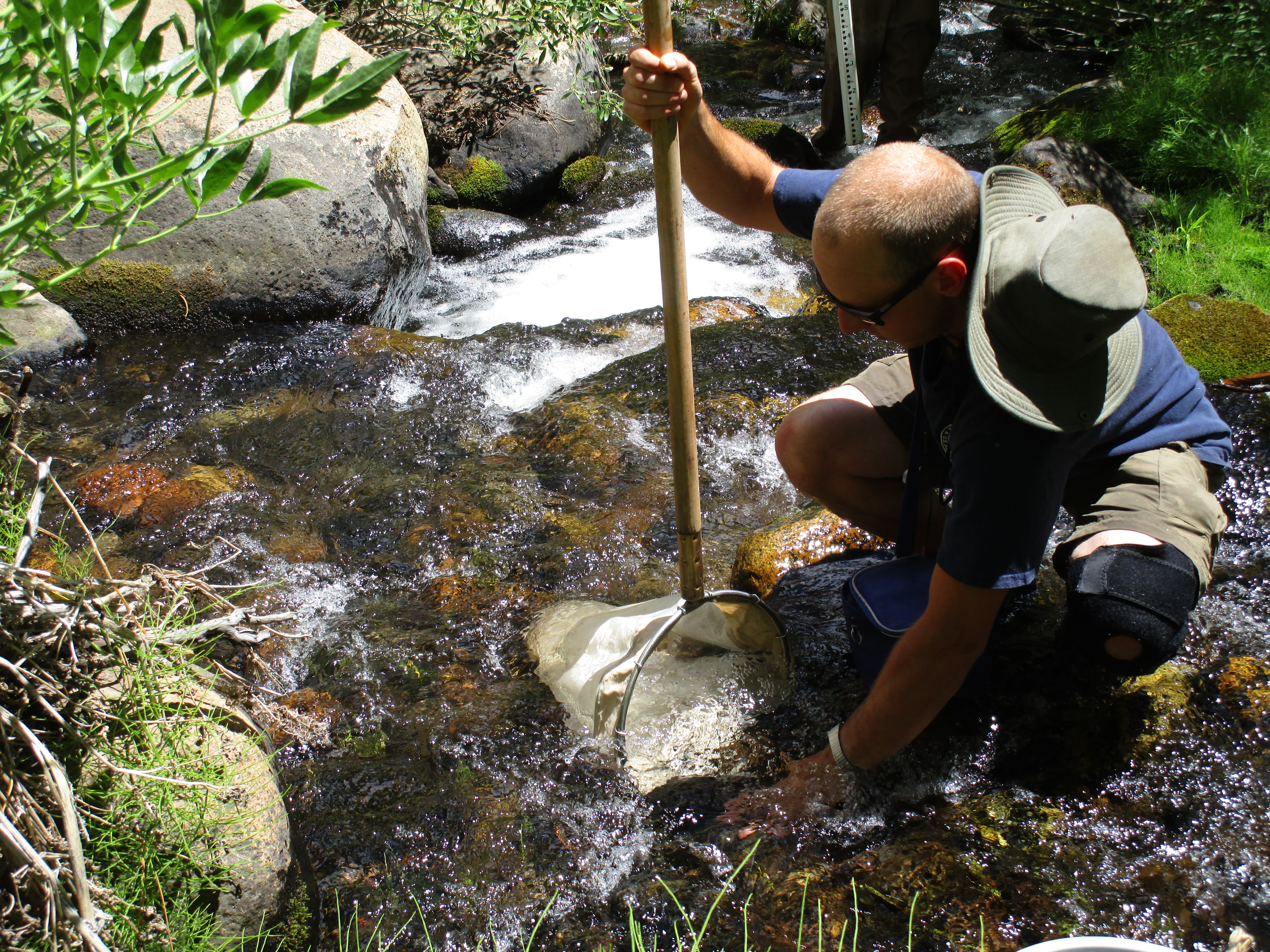 Nevada Division of Environmental Protection Bureau of Water Quality Planning Standards