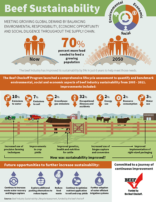 Sustainable beef — NDFB