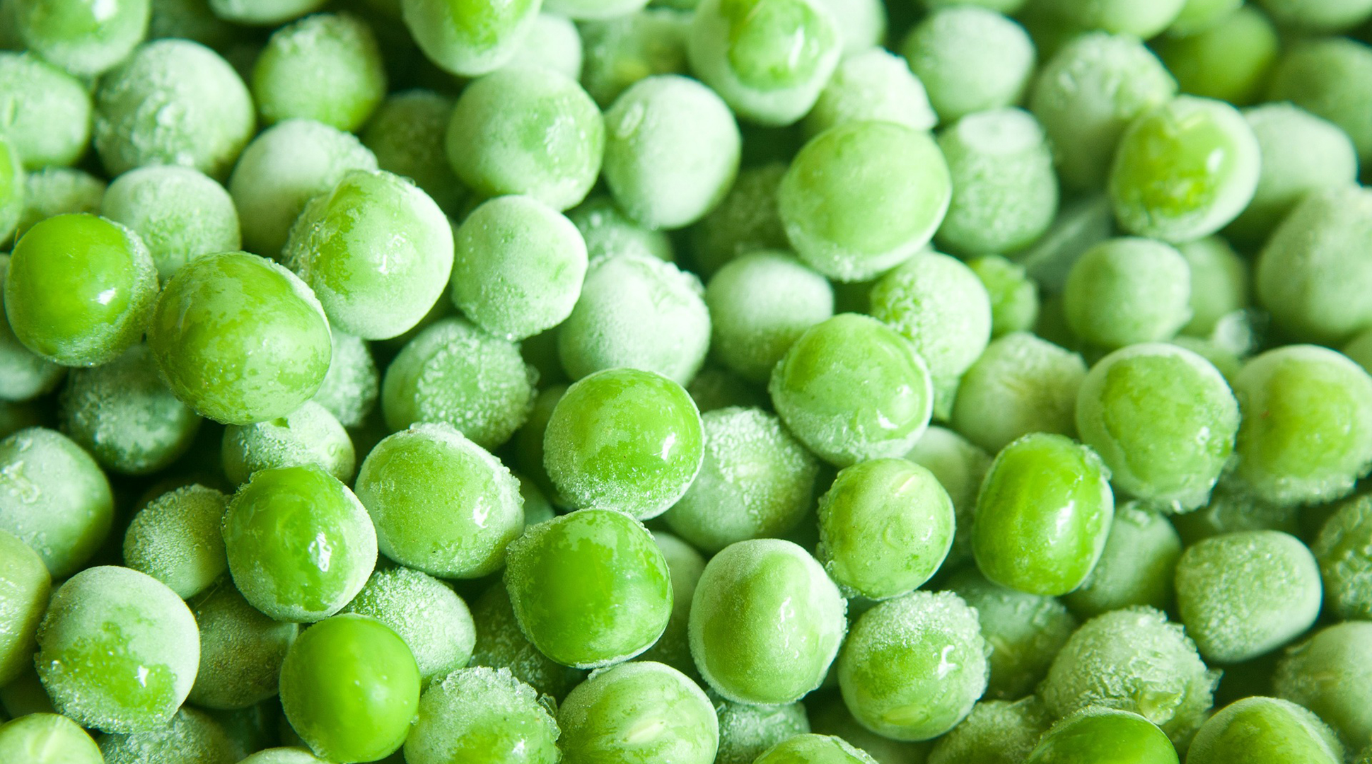 On Your Table Blog — NDFB — How long does frozen food last?