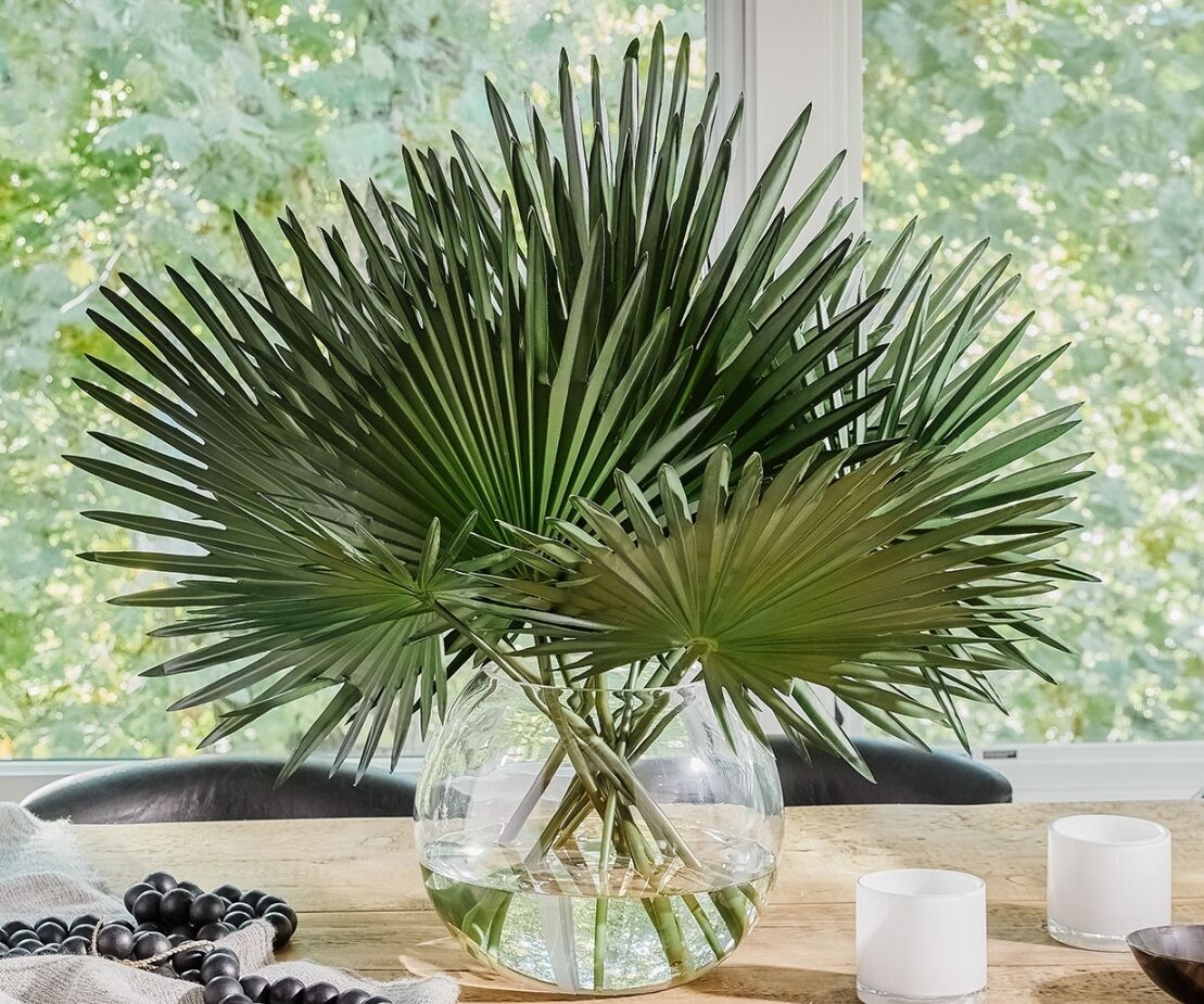 Glass Bowl Moss Garden Archives NDI