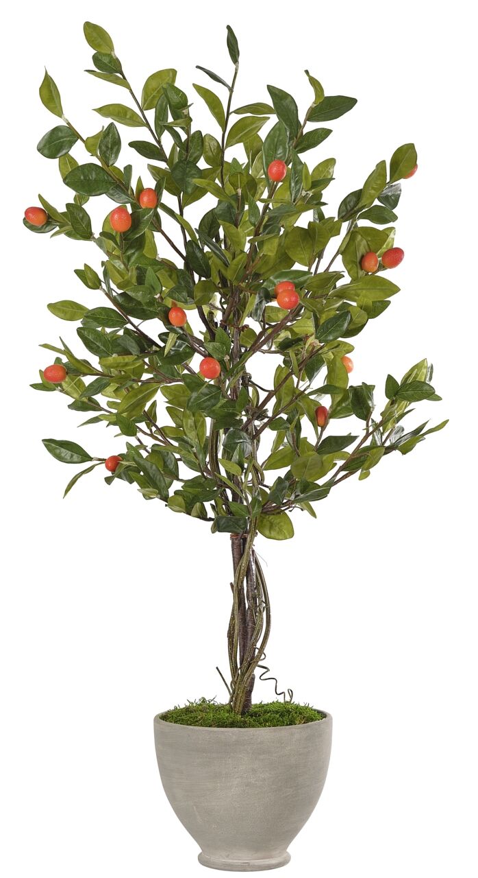 FINAL SALE Kumquat Tree, Ceramic PotFaux Greenery, 47" NDI
