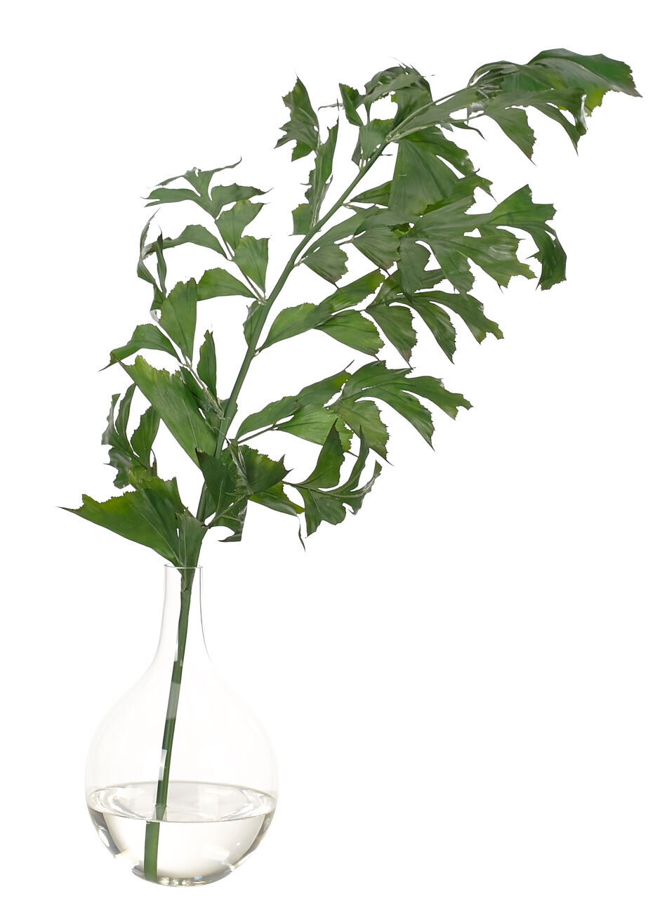 Palm Fishtail, in Glass BulbFaux Greenery, 28" NDI