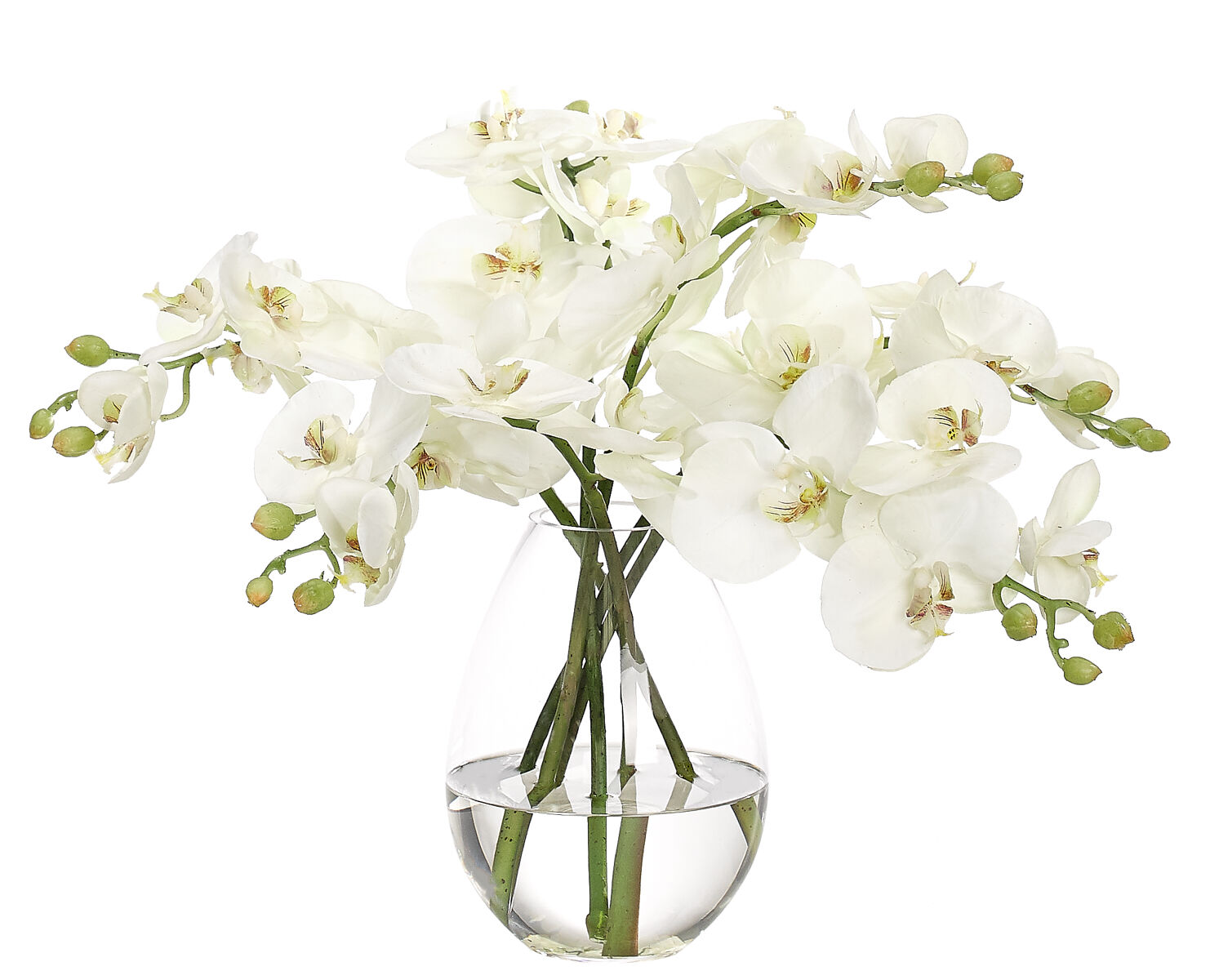 Orchid Phalaenopsis, Cream WhiteGlass Vase, Faux Watergarden, 12" NDI