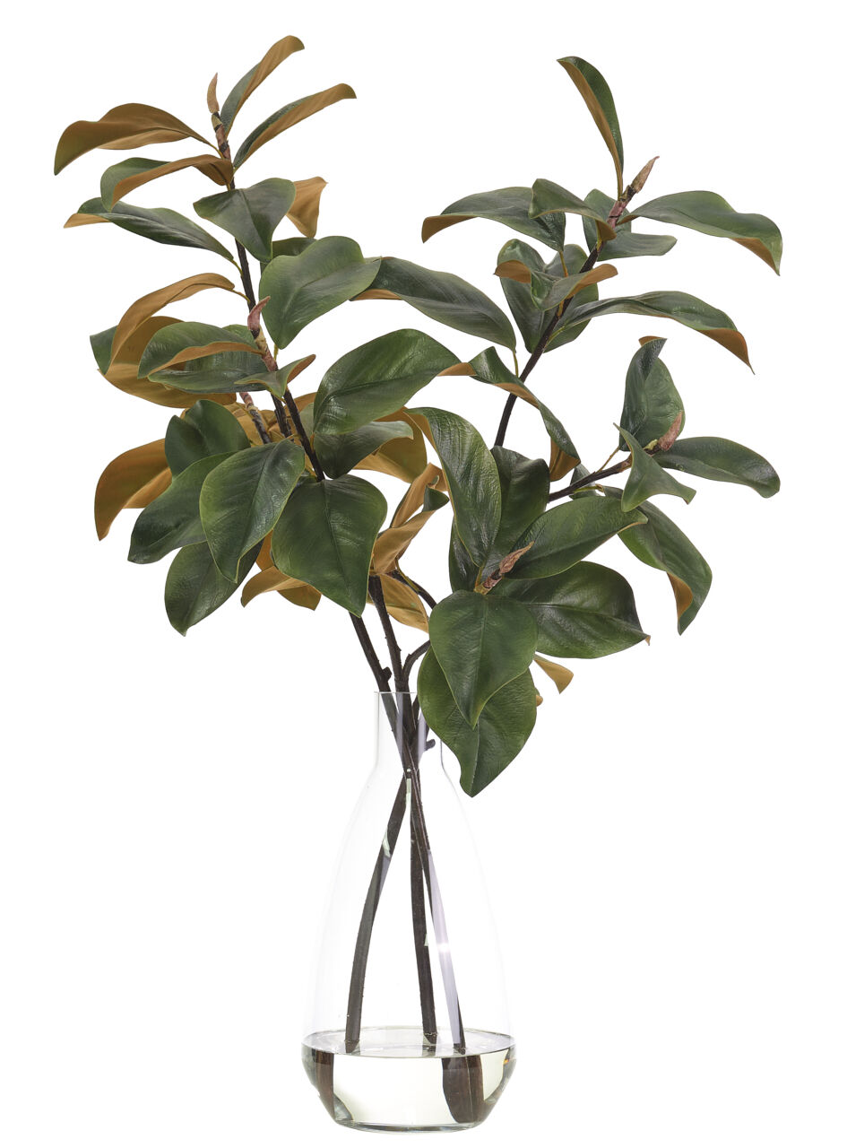 Magnolia Branch, Glass VaseFaux Watergarden, 36" NDI