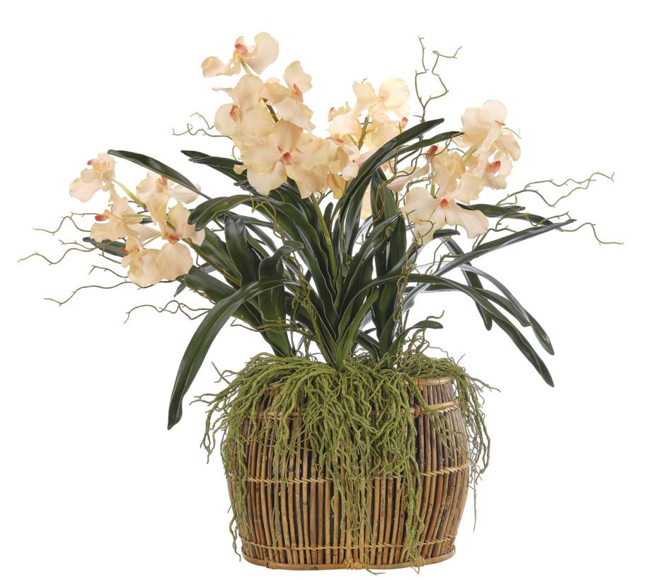 FINAL SALE Orchid Vanda, ApricotBamboo Basket, Faux Arrangement, 33" NDI
