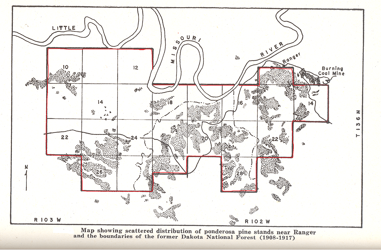 Section 1 Forests North Dakota Studies