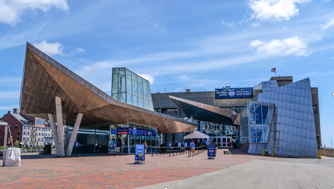 Year in Review New England Aquarium