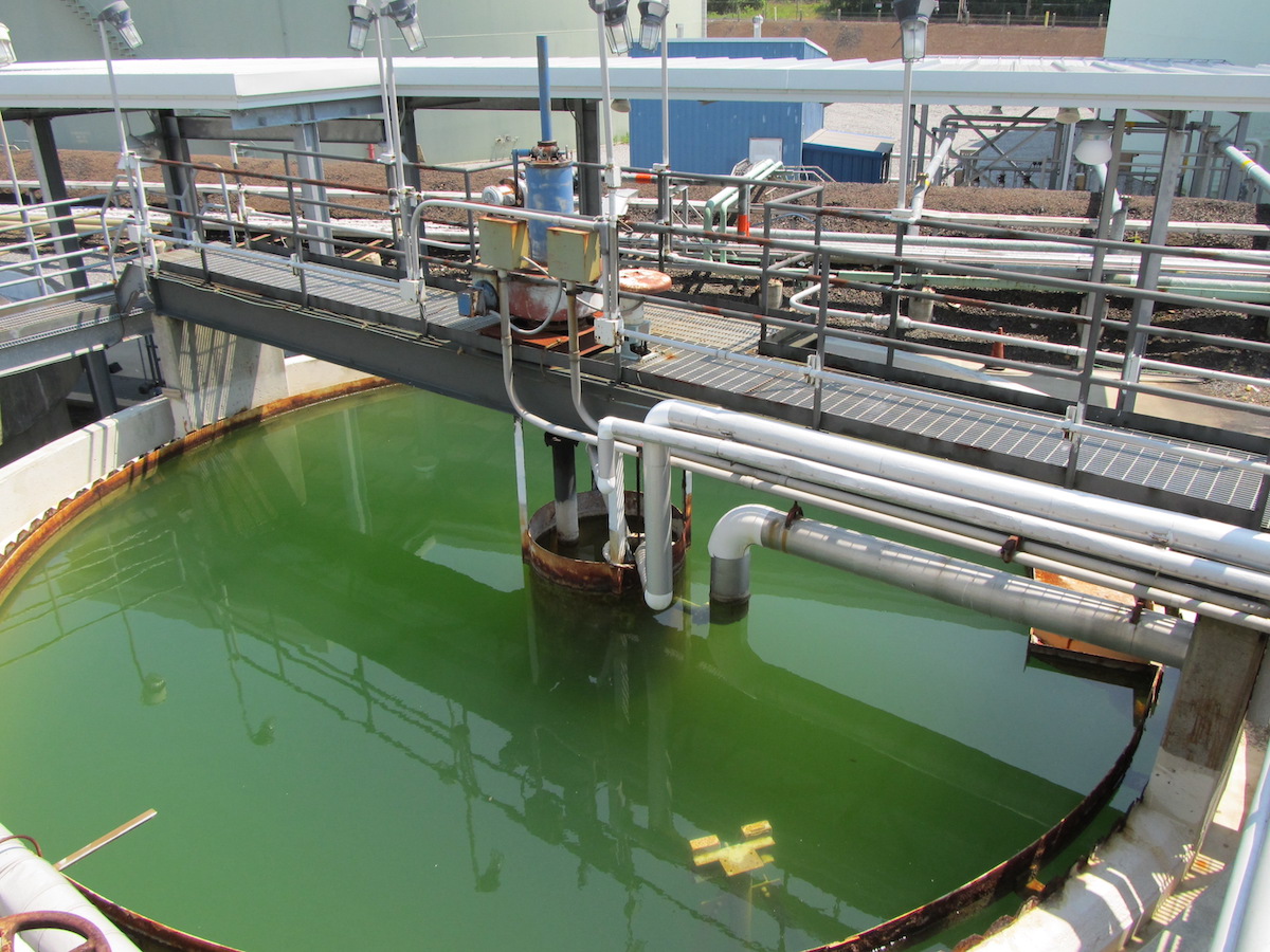 Aquatic Toxicity Testing New England Bioassay