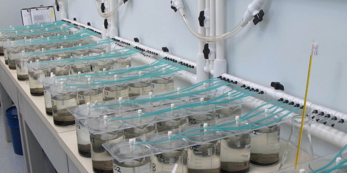 Ecological Testing by New England Bioassay, Aquatic Toxicity Laboratory