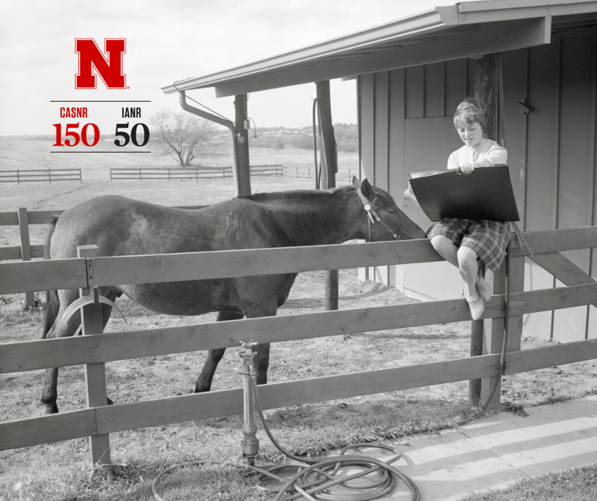 Ag institute marks 50 years of work with Nebraska’s economic ‘heartbeat