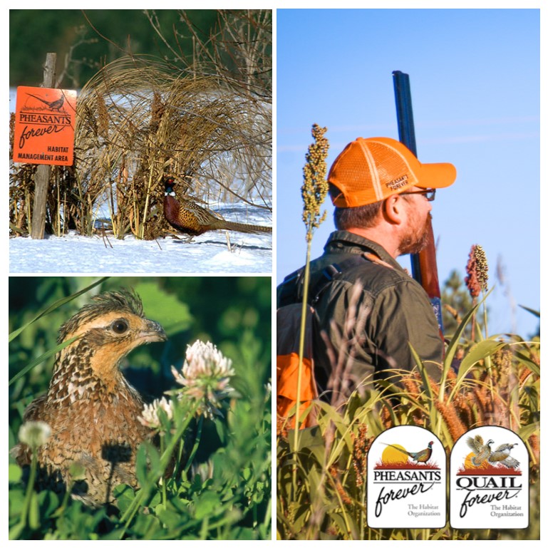 Pheasants Forever