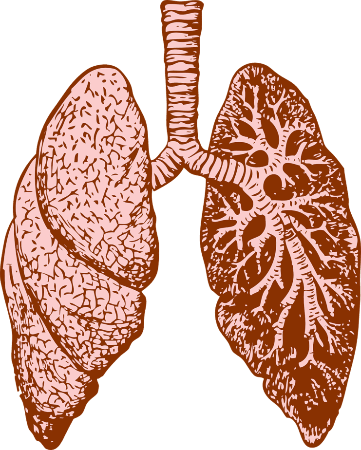 Lung Cancer Testing Can it help nonsmokers assess their risk?