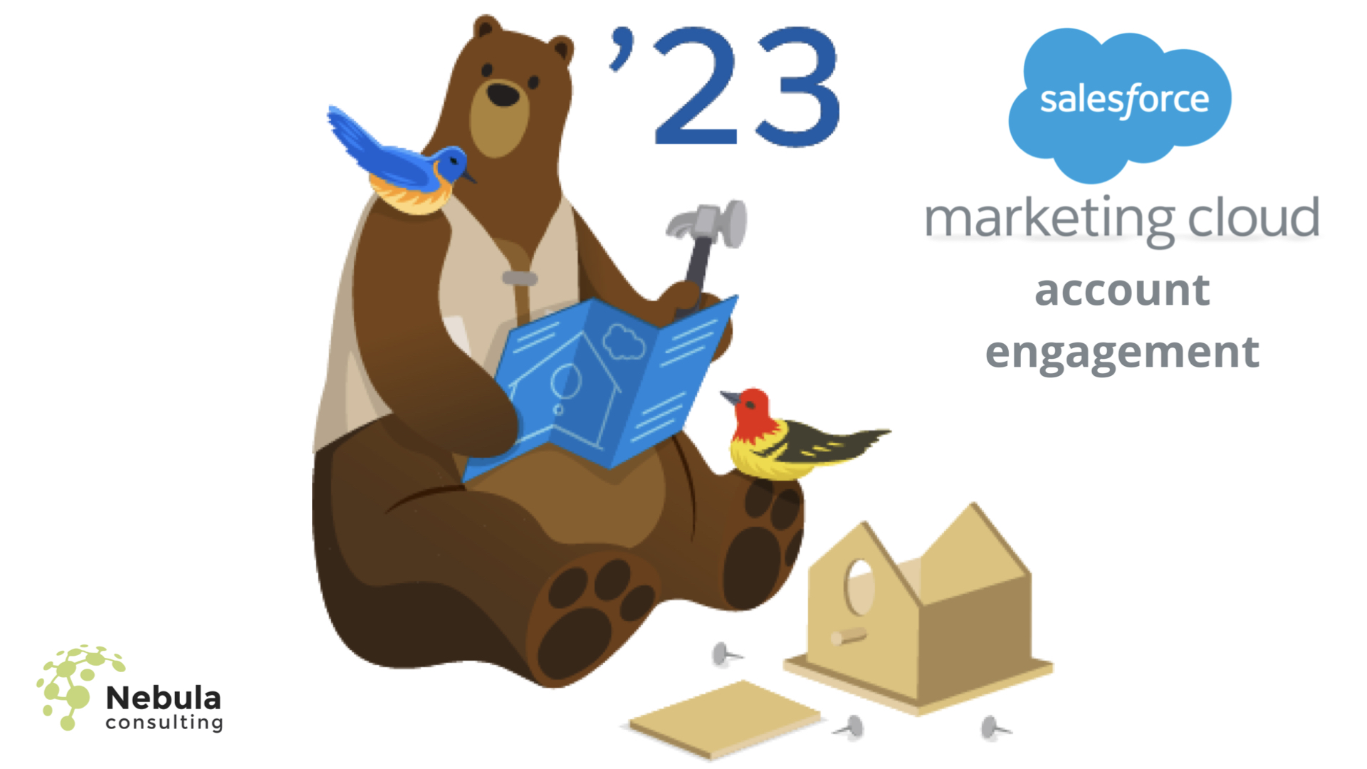 Spring ‘23 Release for Marketing Cloud Account Engagement · Nebula