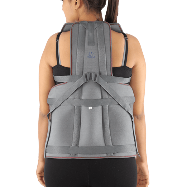 TAYLOR BRACE (DLSO BRACE) Nebula Orthosys