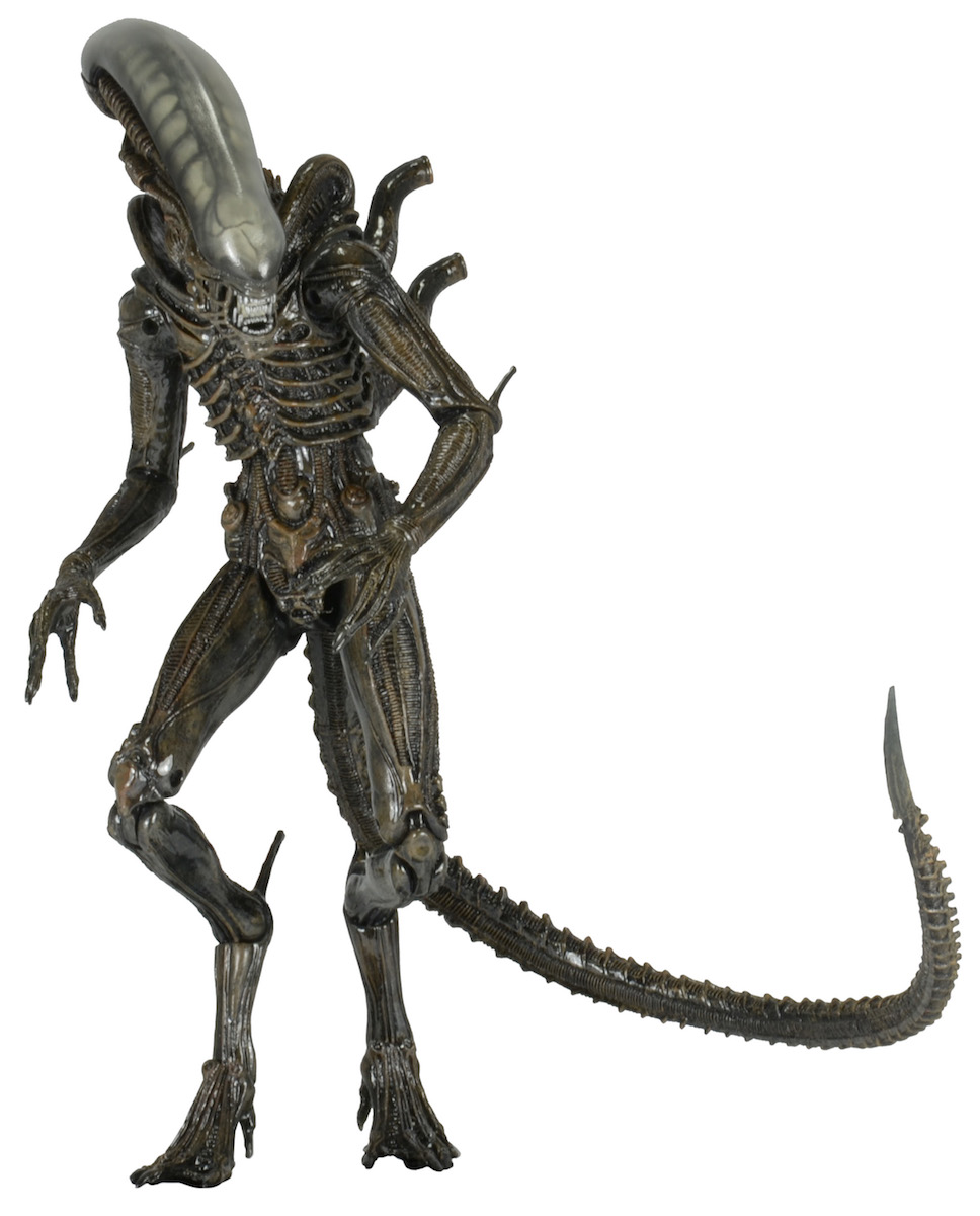 DISCONTINUED Aliens 7″ Scale Action Figures Series 6 (Alien