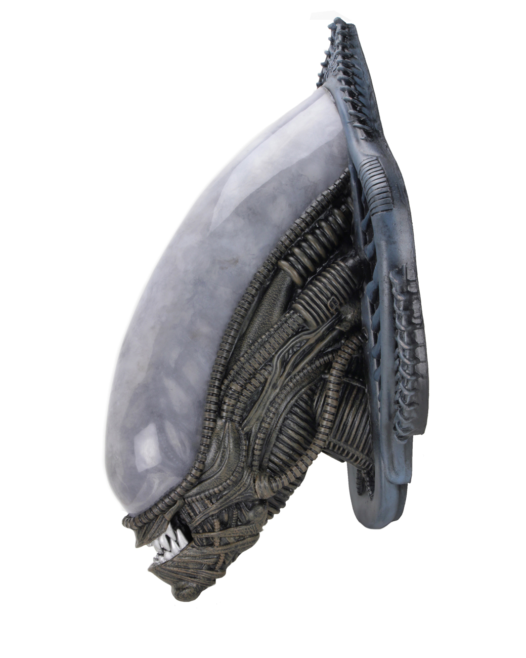 Alien Foam Replica Xenomorph WallMounted Bust