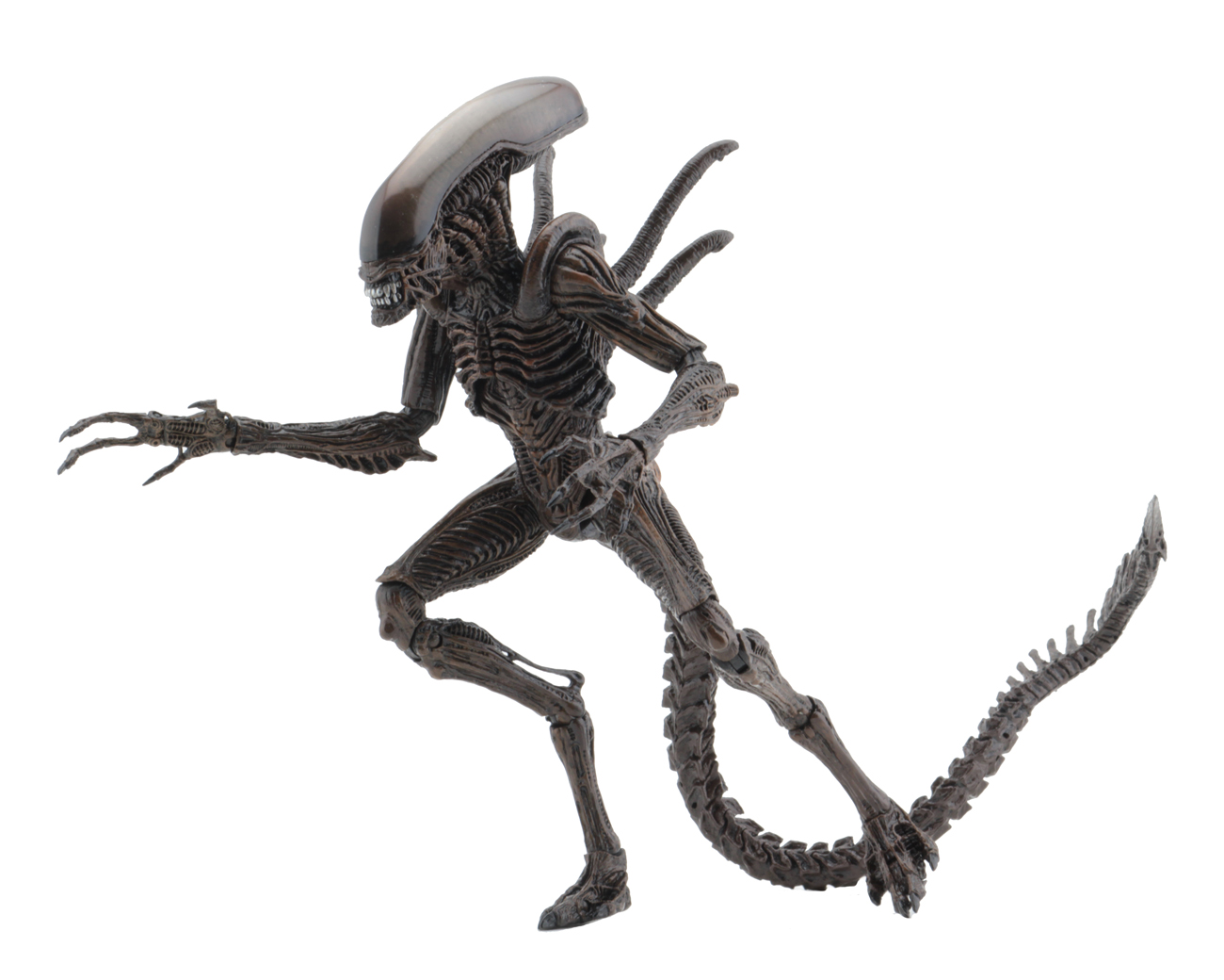 Aliens 7″ Scale Action Figure Series 14 Alien Resurrection