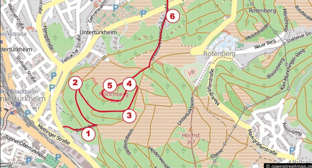Weintour2021 neckarufer.info Veranstaltungen und Infos