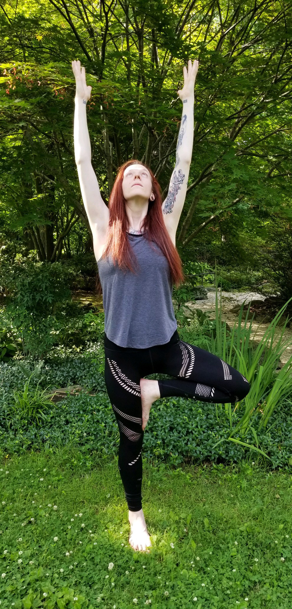 Holly tree Nectar Yoga Studio