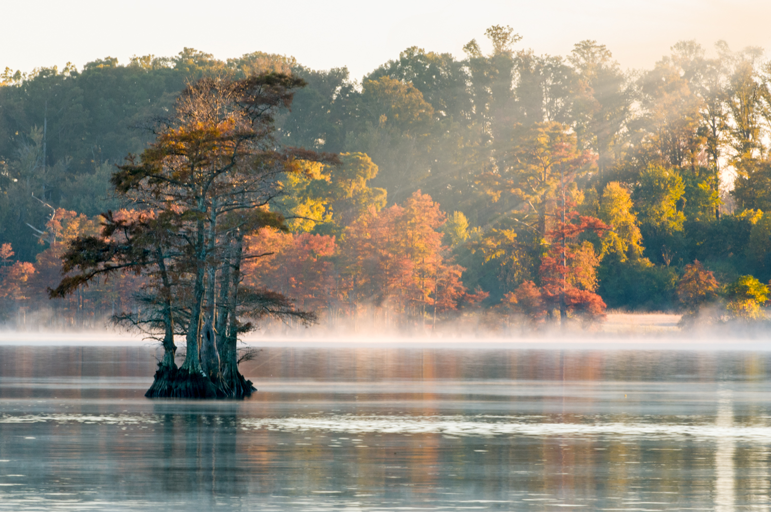 Autumn Mist Ned Leary Photography