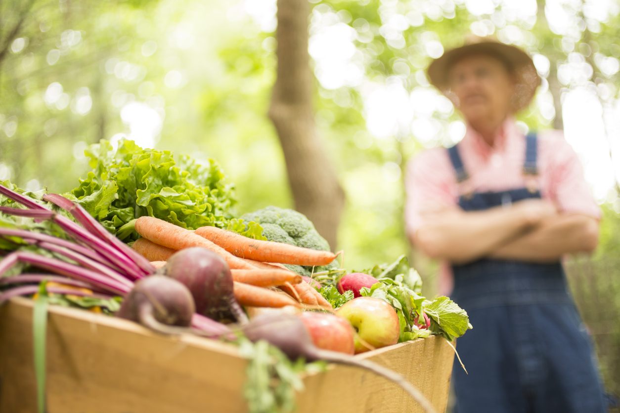 The 3 Best Country Markets in New South Wales Country Markets in NSW