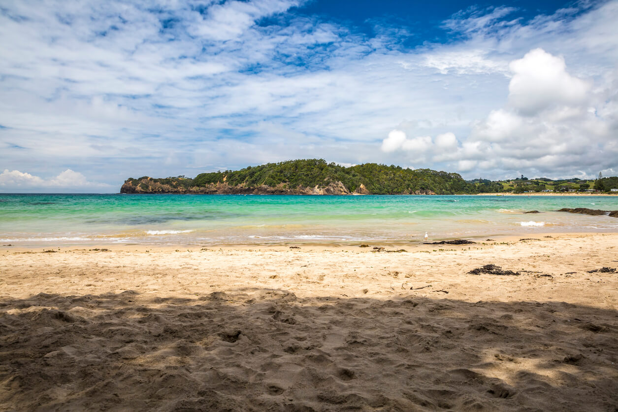 Tutukaka Travel Guide NZ Travel Inspiration NeedaBreak