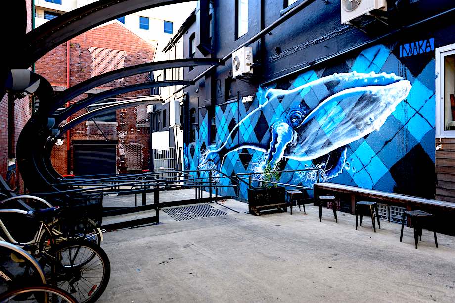 Explore the Newcastle Street Art Scene Things to do In Newcastle