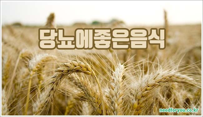 당뇨에 좋은 음식과 영양제, 잡곡 곡물 추천