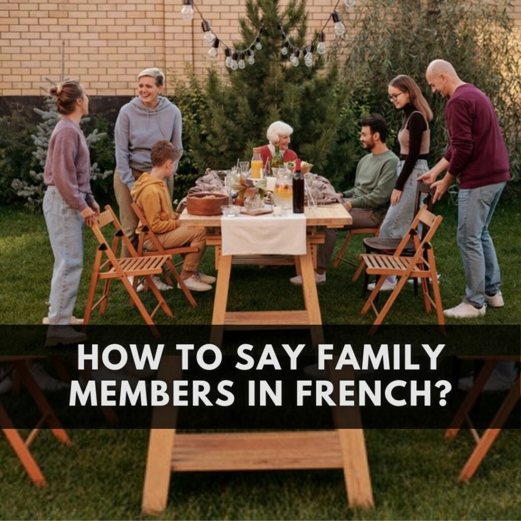 How Do You Say Egg In French? NeedFrench