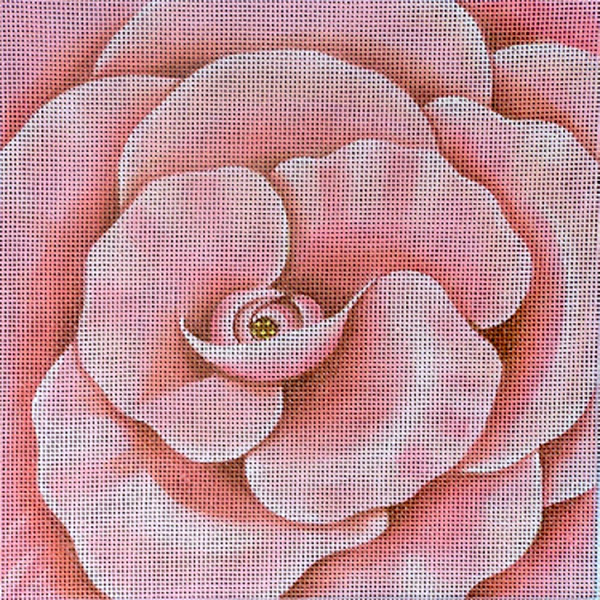 NeedlepointUS Worldclass Needlepoint Leigh Designs Handpainted