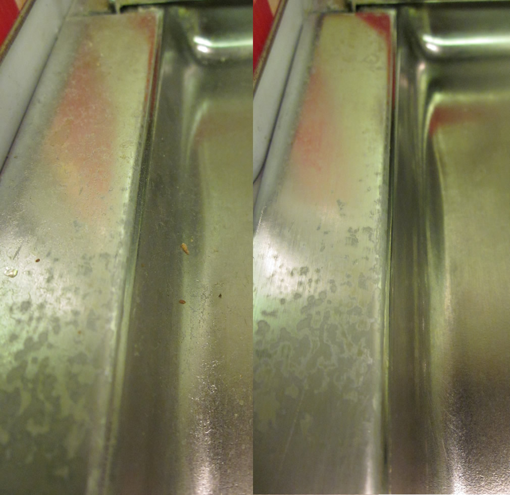 Best Green Kitchen Grime Cleaner Needs to Note