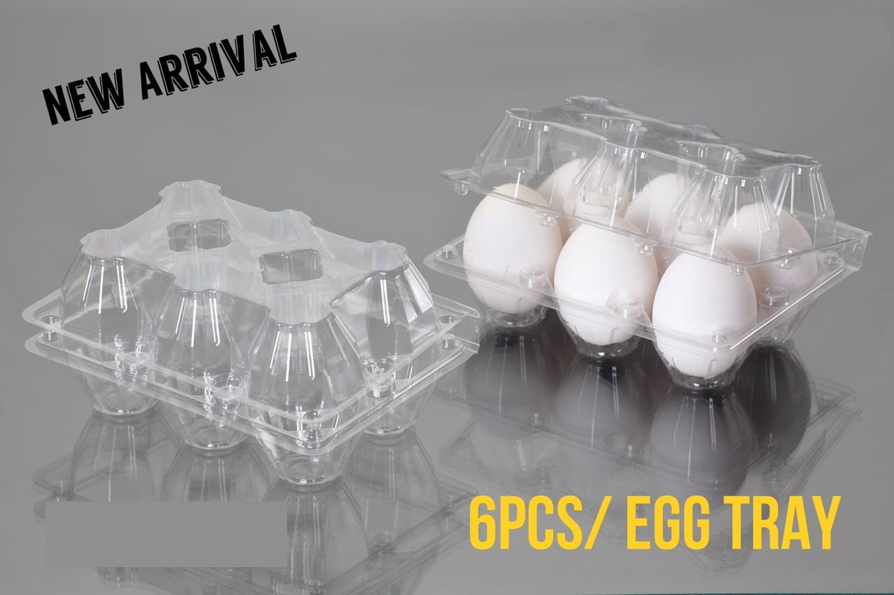 6 Pcs Egg Tray Neeyog Packaging