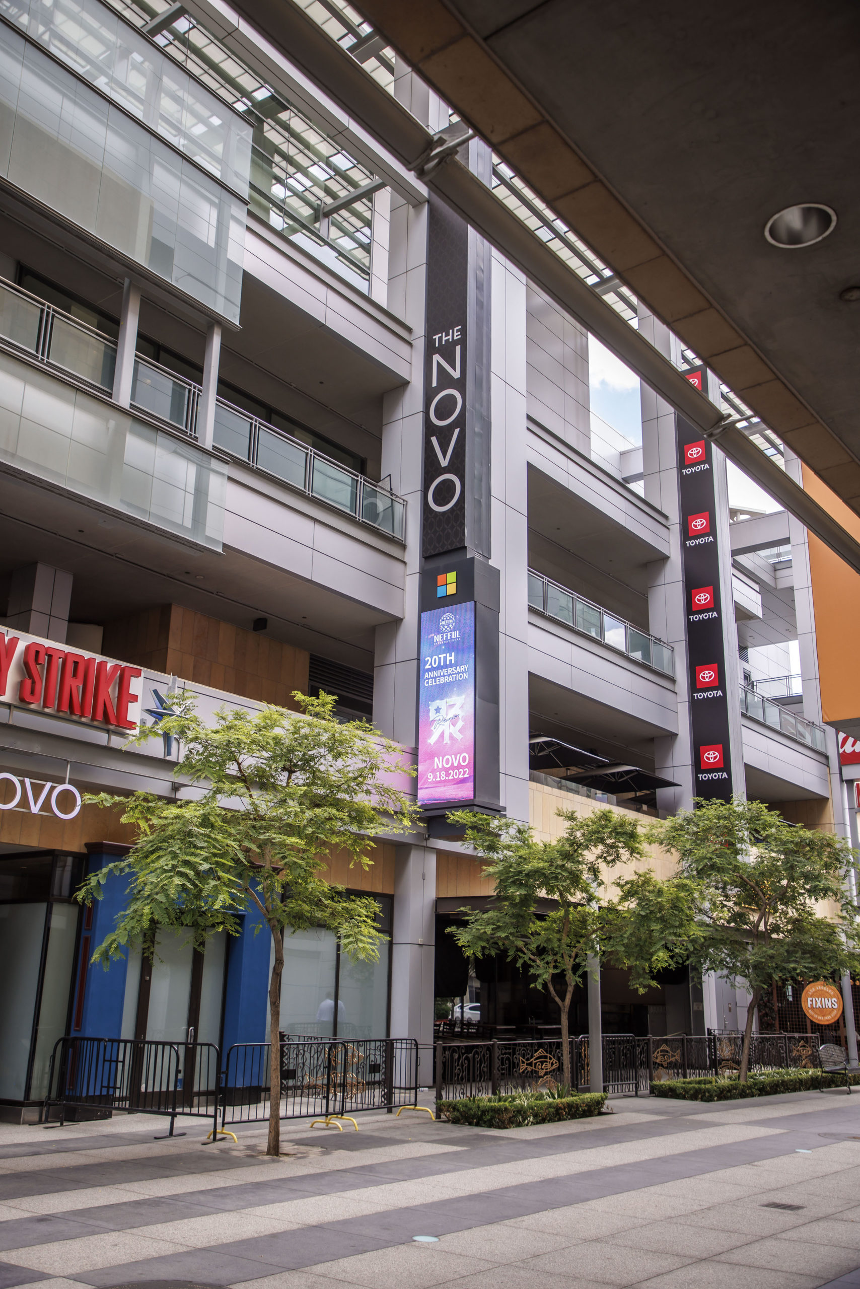 20th Annual Award Highlights Nefful USA