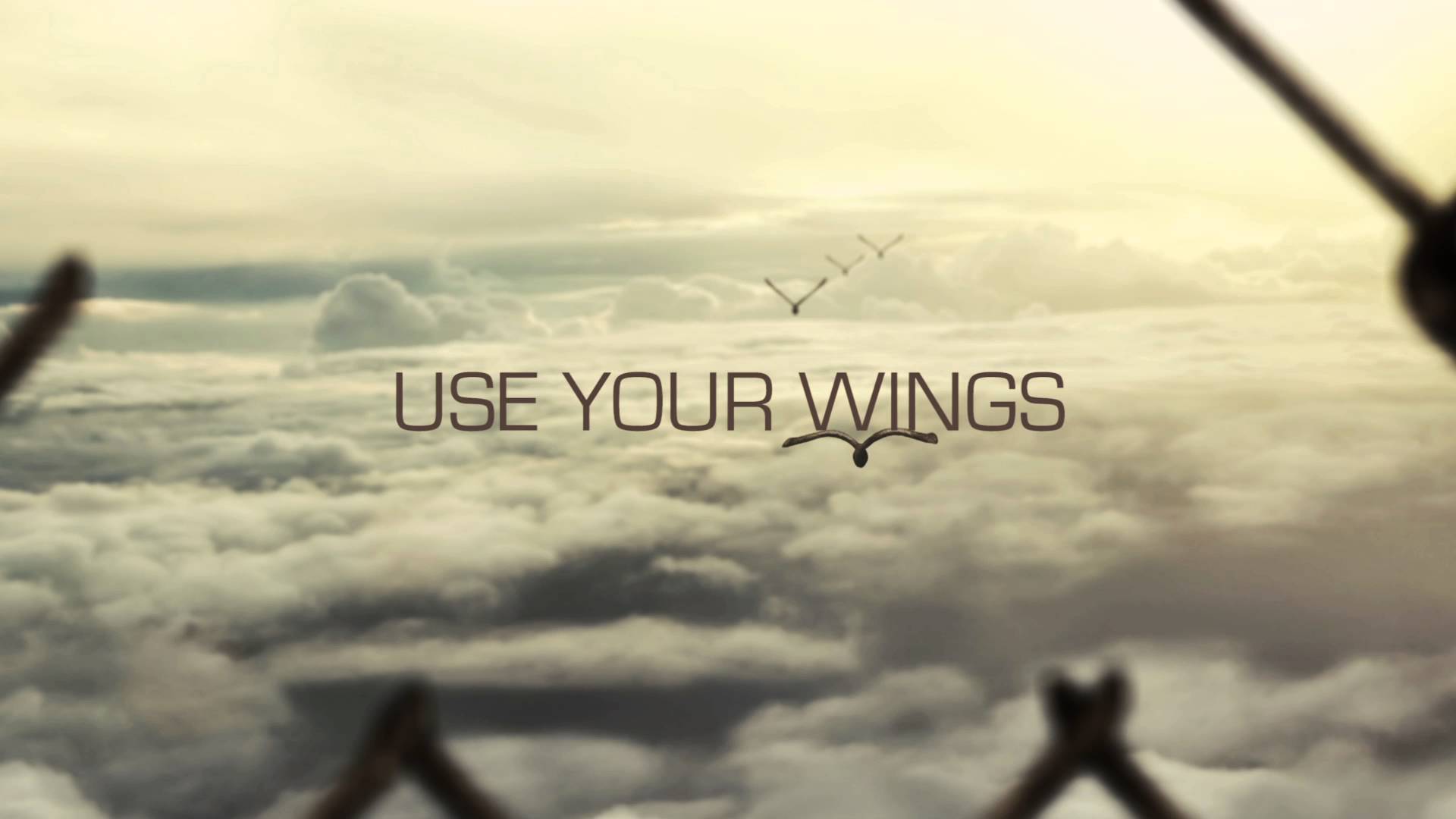 Use your wings Free Beats Negative gratis Instrumentale TBoys