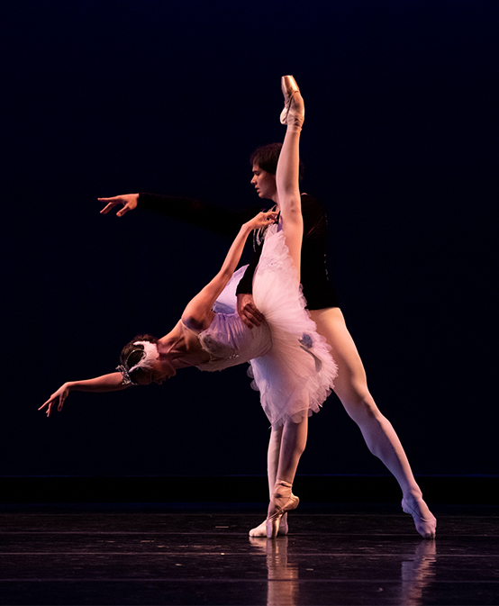 spring gala 2023 Spring Gala – Professional Ballet Showcase | Live Performances In Buffalo
