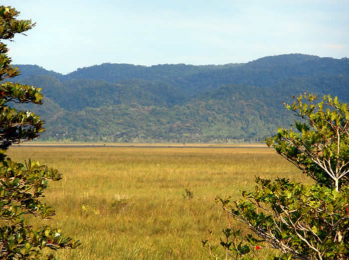 Official Negril Jamaica site Negril Jamaica Negril Today