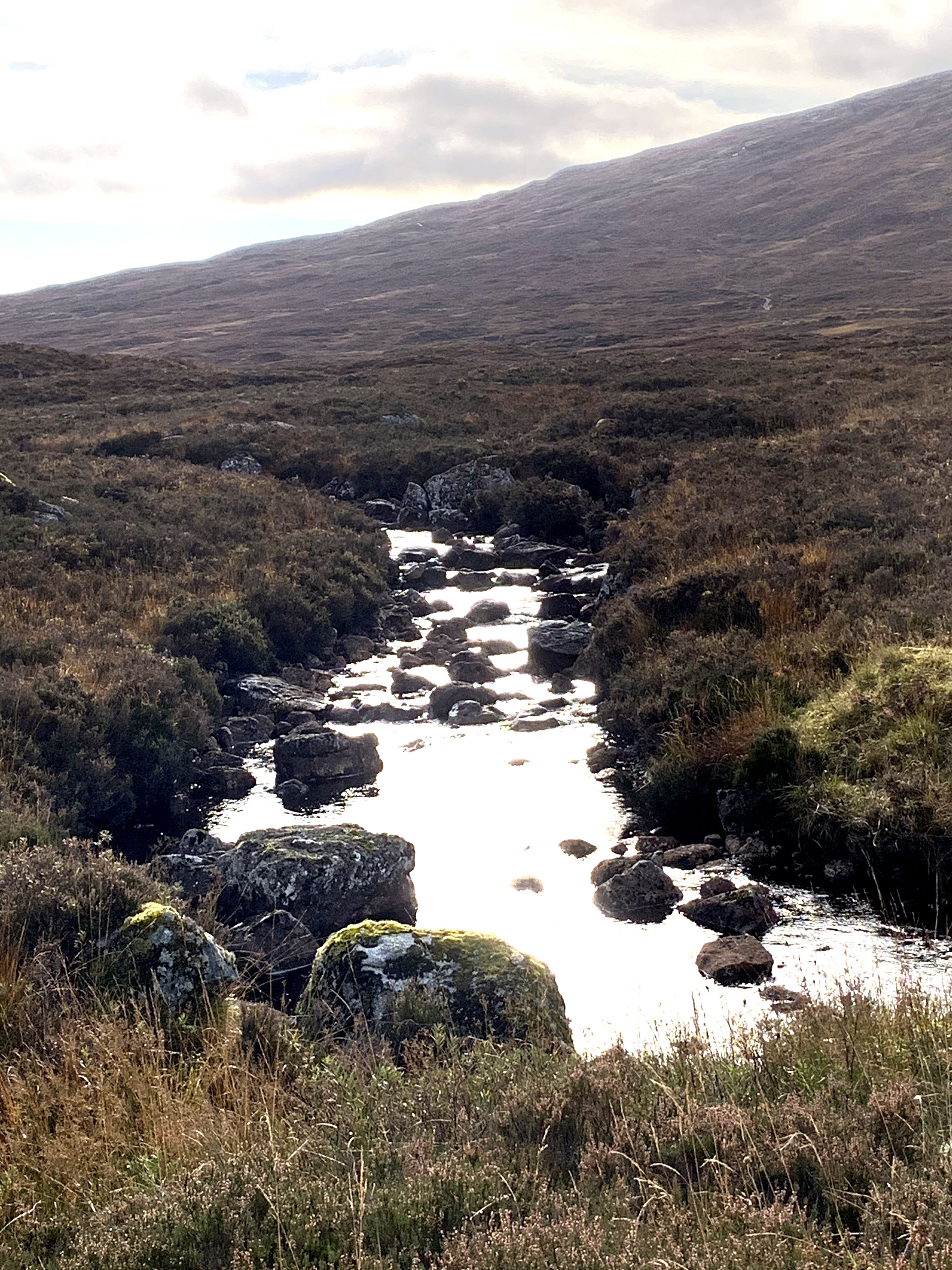 Back with a Bang! Part 4 The Art Dungeon