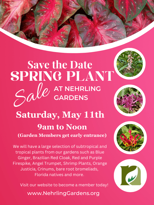 Spring Plant Sale Fundraiser Nehrling Gardens