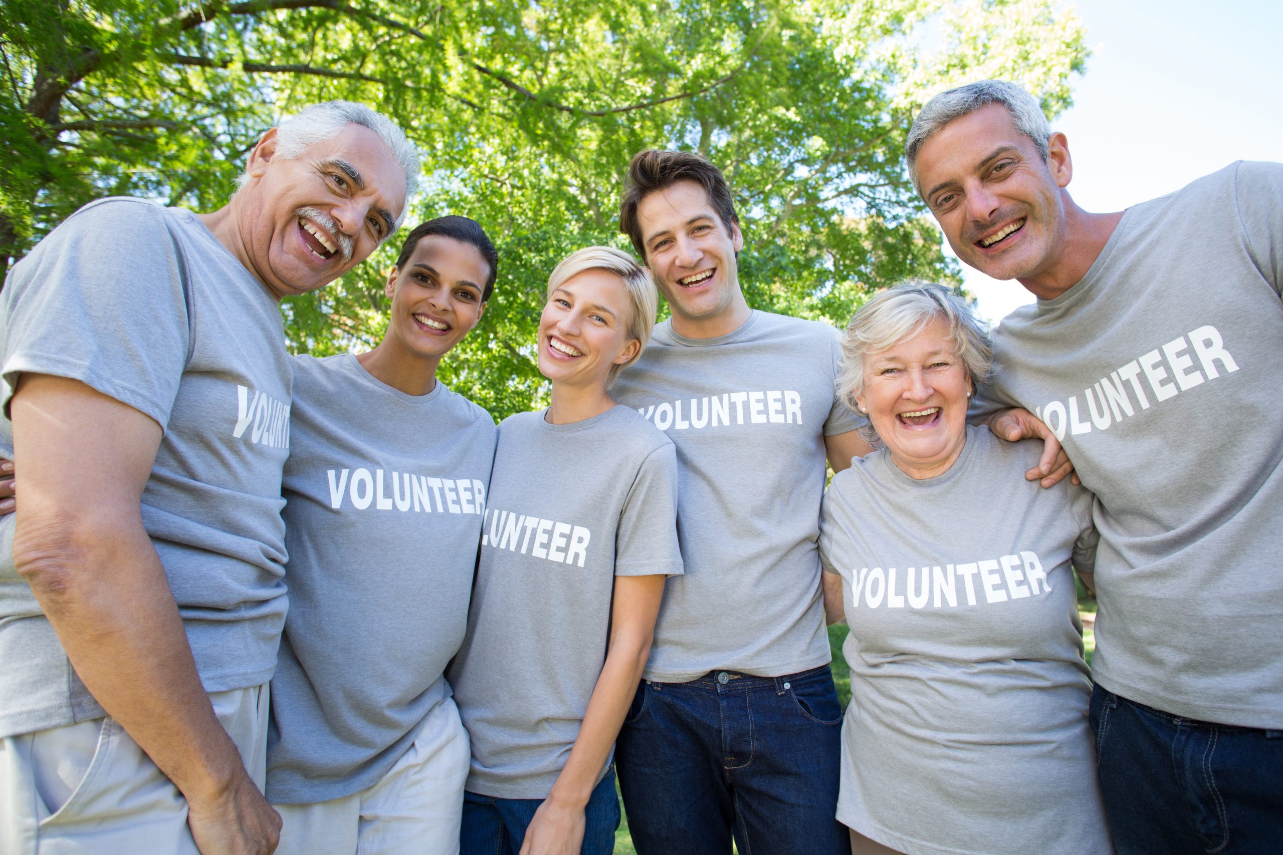 Volunteer Northeast Iowa Area Agency on Aging