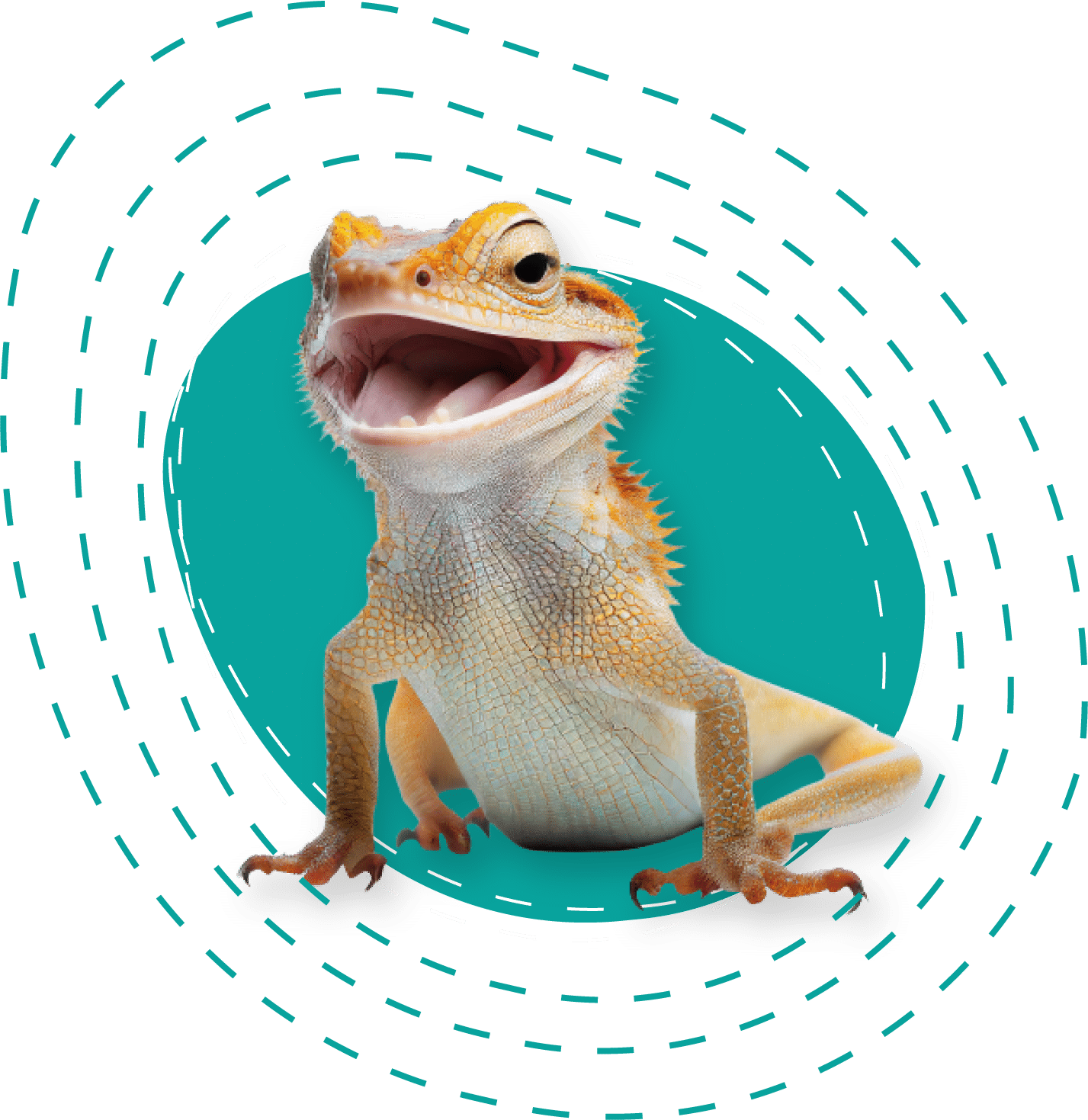 Reptiles & Reptile Supplies Neighborhood Pet Shoppe